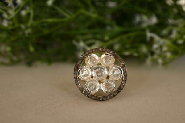 The image shows a close-up of a silver ring with a circular design. The ring is adorned with a cluster of small diamonds in the center, surrounded by a delicate halo of smaller diamonds. The background is blurred and appears to be a natural setting with green foliage.