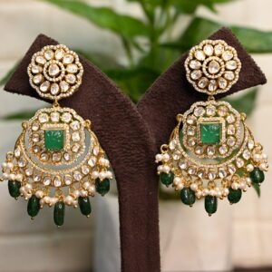 The image shows pair of stunning earrings.